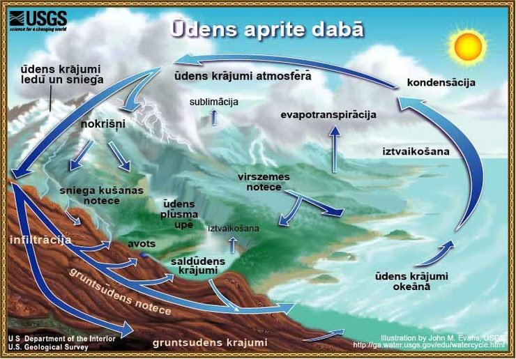 Cirukulācija